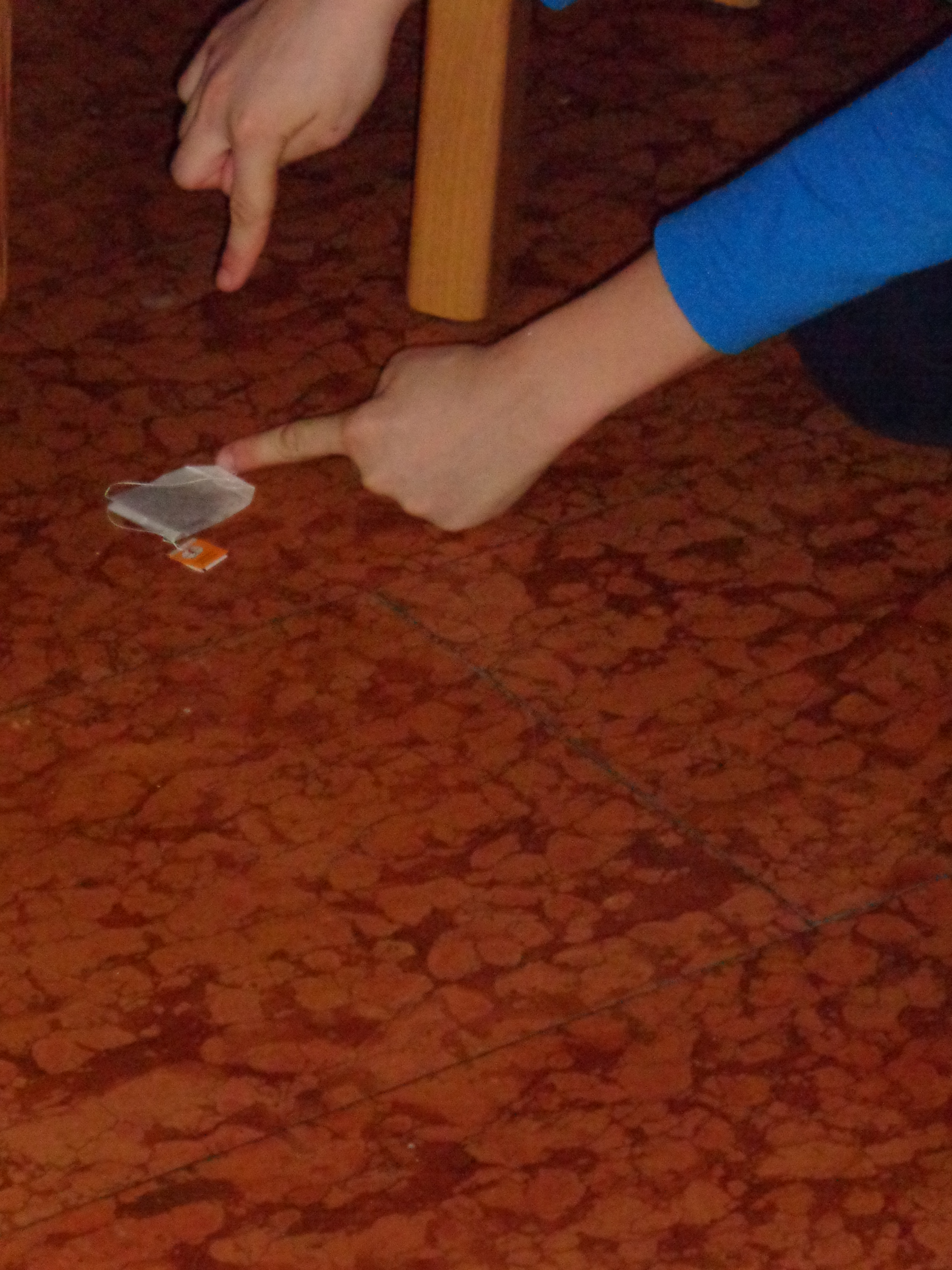 DSC02218.jpg