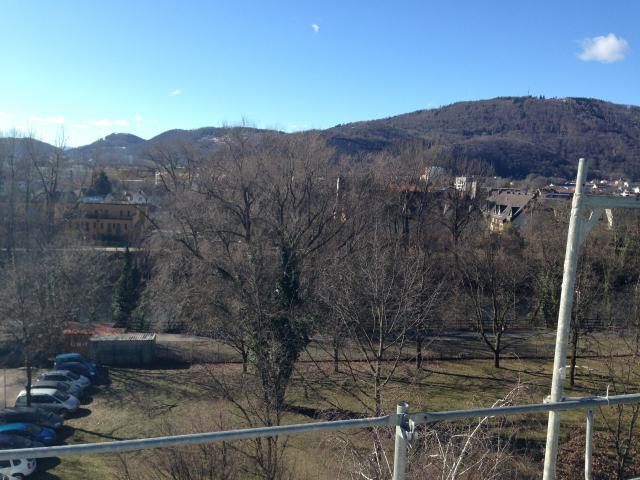 2014-02-14 11.58.47.jpg