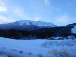 DSCN3338.jpg