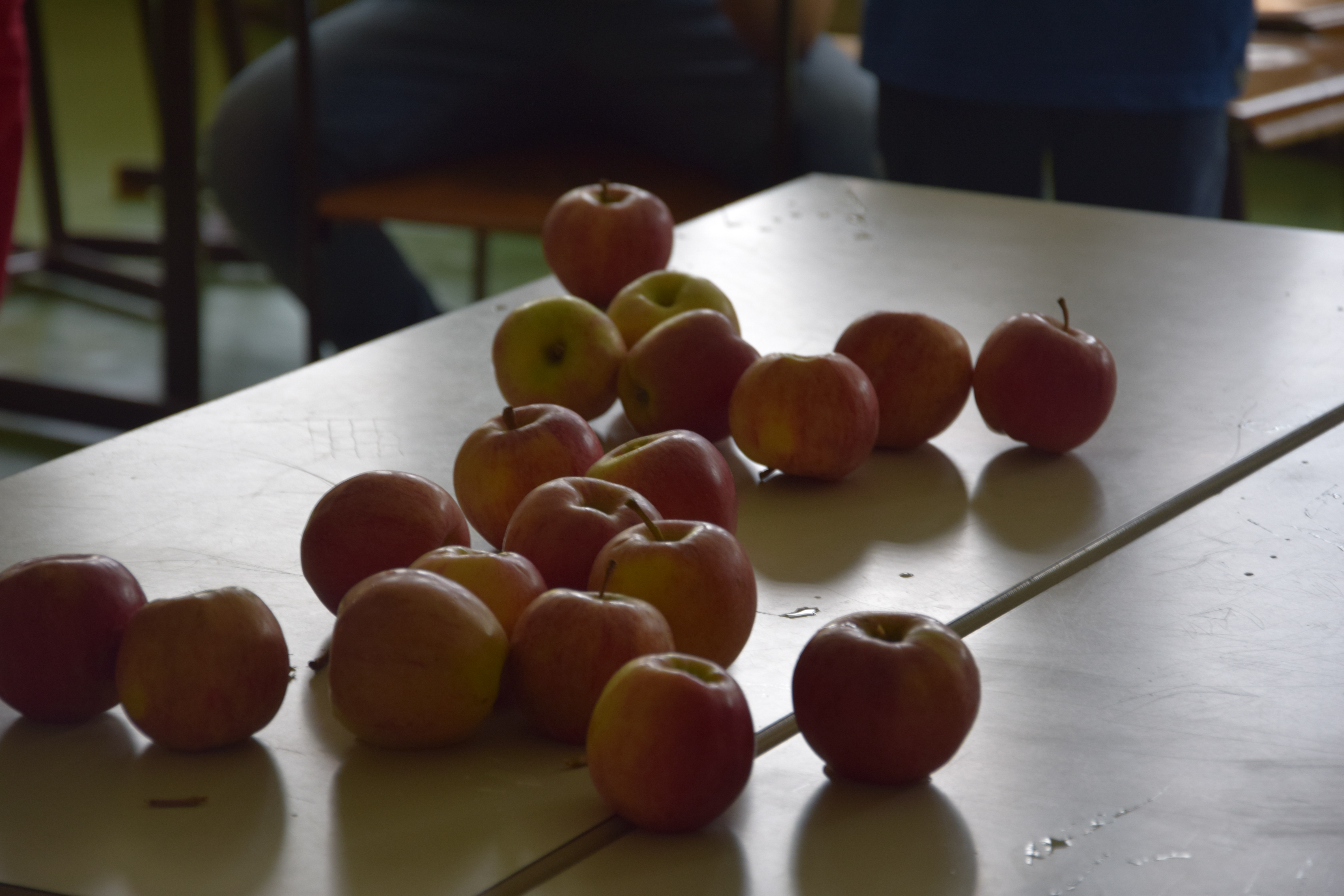 DSC_0398.jpg