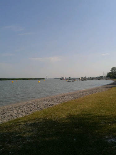 IMG_5726.jpg