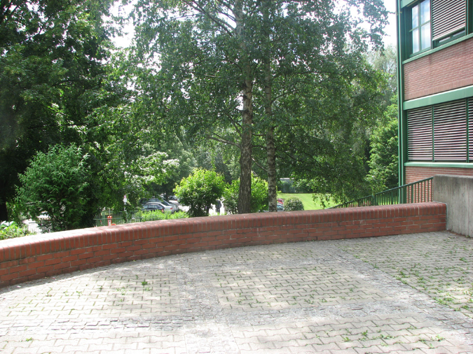 IMG_4272.jpg
