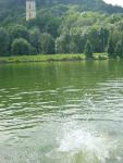 Wildoner See, Lurgrotte 007.jpg