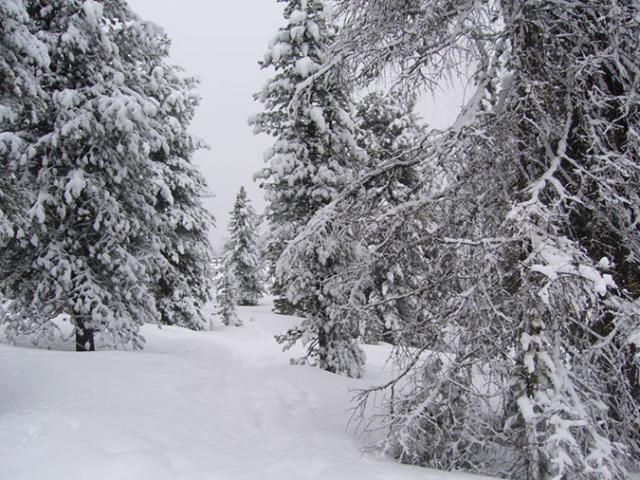 _2300542074.jpg