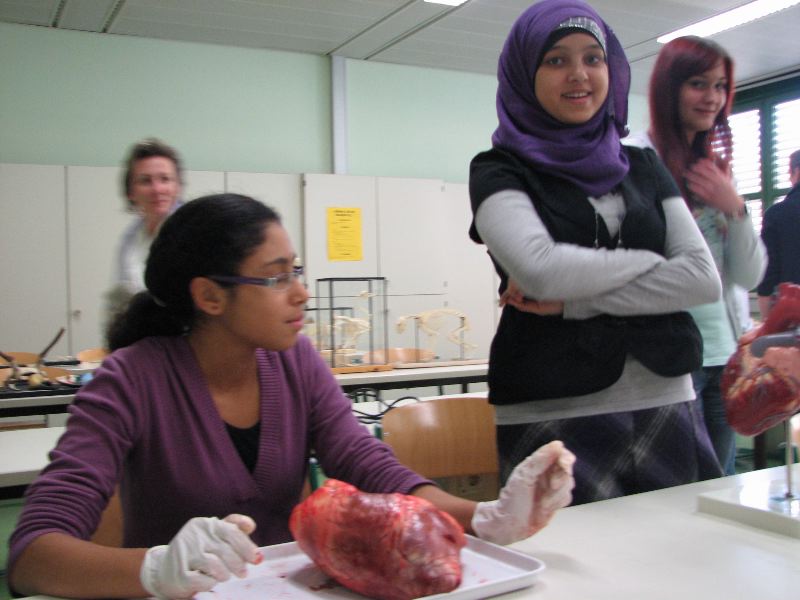 IMG_5482