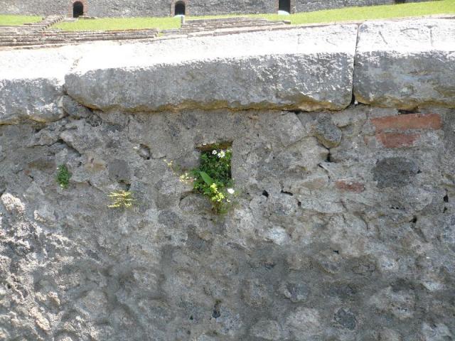 P1060933