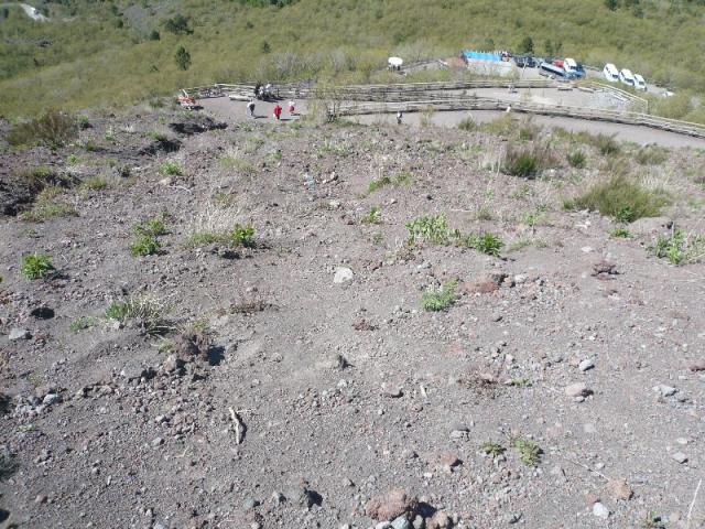 P1060973